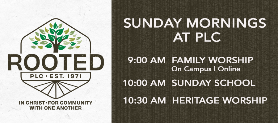 Rooted Sunday schedule banner texture paper